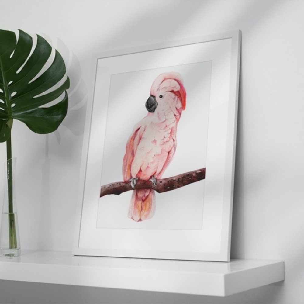 Wall Art Tropical Bird Portrait Print Unframed - Picture 6 of 15
